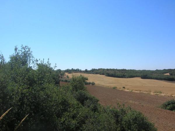 Terreno en calle Llanos de Simón, 17 Polgono