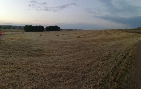 Terreno en M-224, km 2