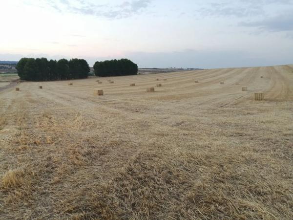 Terreno en M-224, km 2