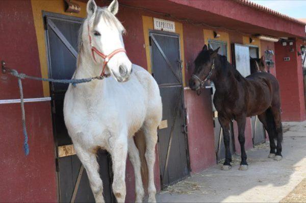 Terreno en calle Llanos de Simón, 17 Polgono
