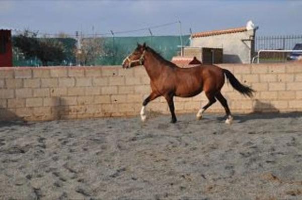 Terreno en calle Llanos de Simón, 17 Polgono