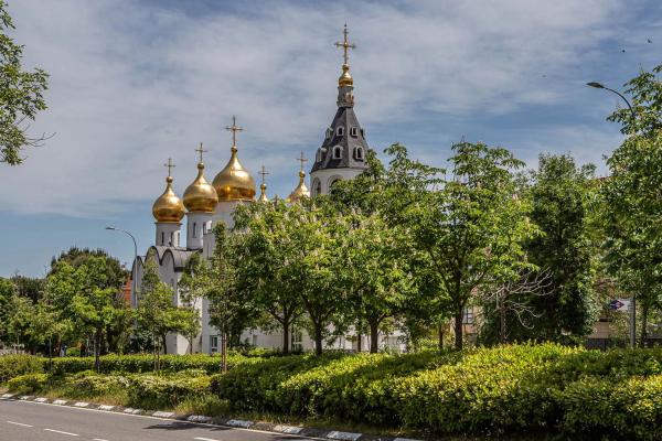 Terreno en calle de Pegaso