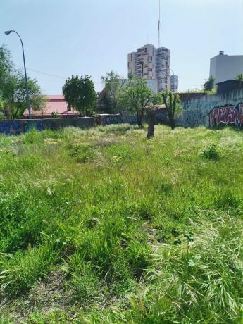 Terreno en Barrio Canillas