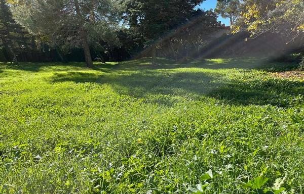 Terreno en Barrio El Plantío
