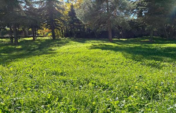 Terreno en Barrio El Plantío