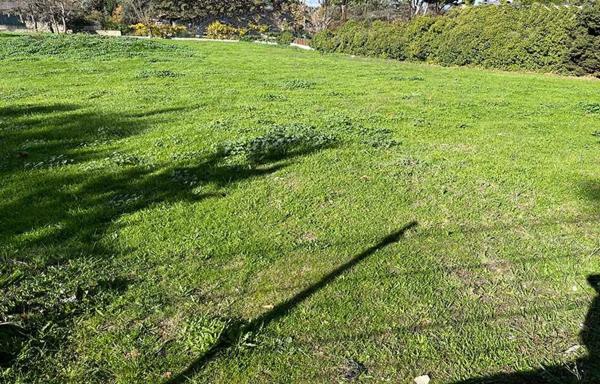 Terreno en Barrio El Plantío