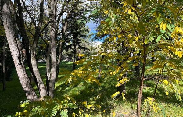 Terreno en Barrio El Plantío