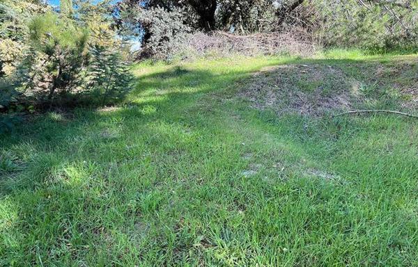 Terreno en Barrio El Plantío