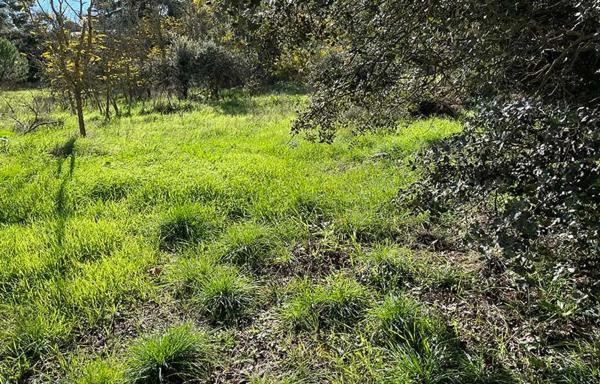 Terreno en Barrio El Plantío