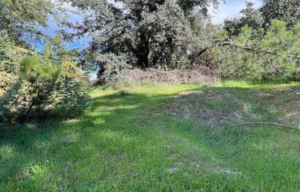 Terreno en Barrio El Plantío