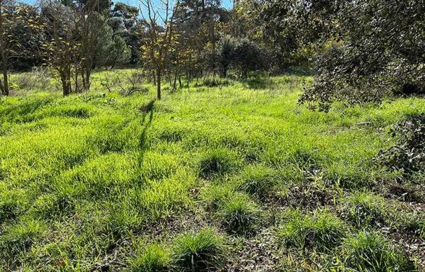 Terreno en Barrio El Plantío