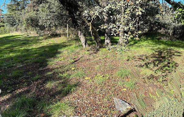 Terreno en Barrio El Plantío