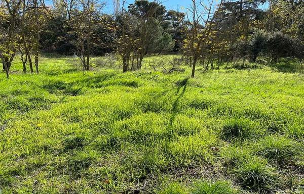 Terreno en Barrio El Plantío