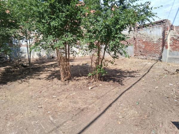 Terreno en calle Alfonso Xiii, 7