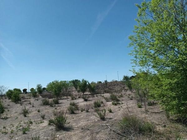 Terreno en calle de Carmen Laforet, 23