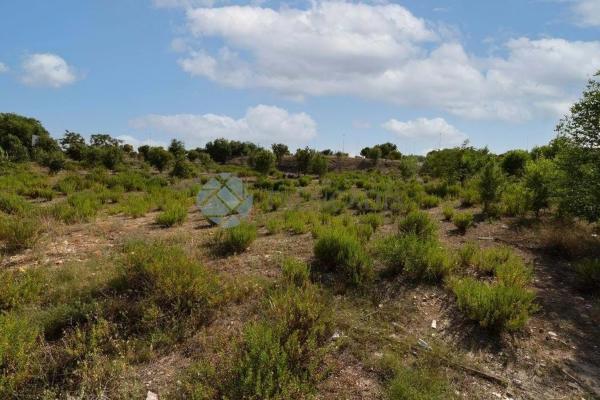 Terreno en calle de Carmen Laforet