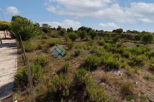 Terreno en calle de Carmen Laforet