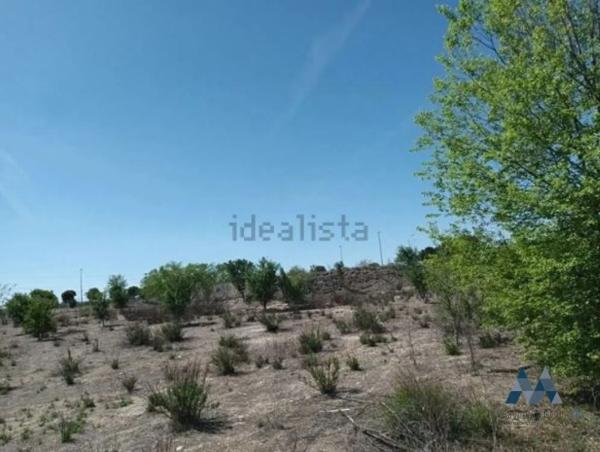 Terreno en calle de Carmen Laforet