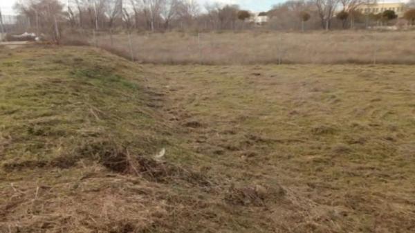 Terreno en calle de Lola Flores, 11