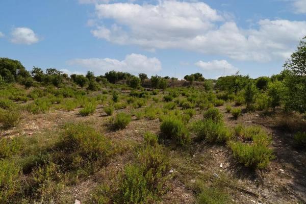Terreno en avenida de Aragón, 402