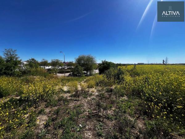Terreno en Barrio Los Berrocales