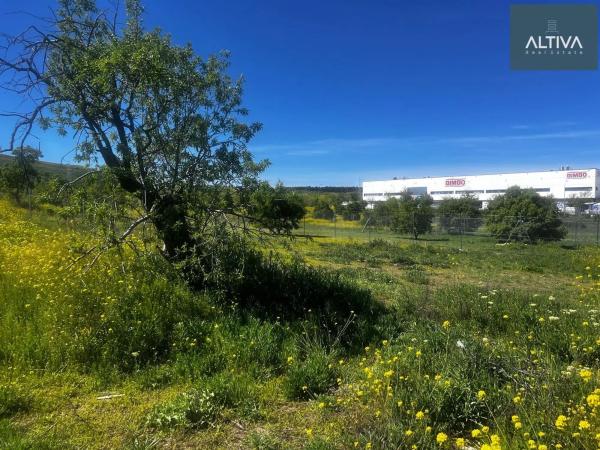 Terreno en Barrio Los Berrocales