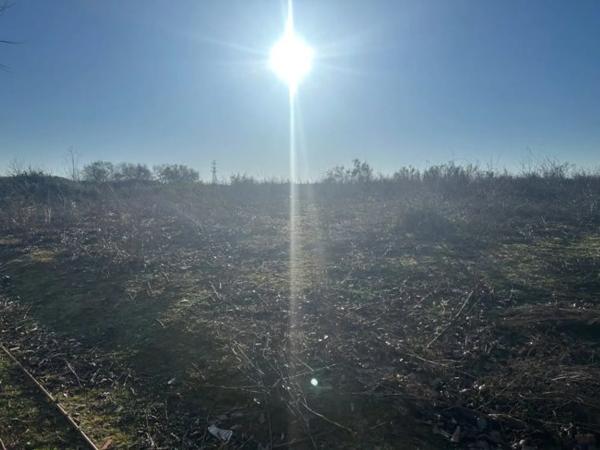 Terreno en avenida de los Rosales