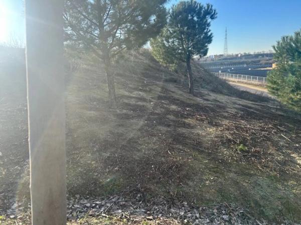 Terreno en avenida de los Rosales
