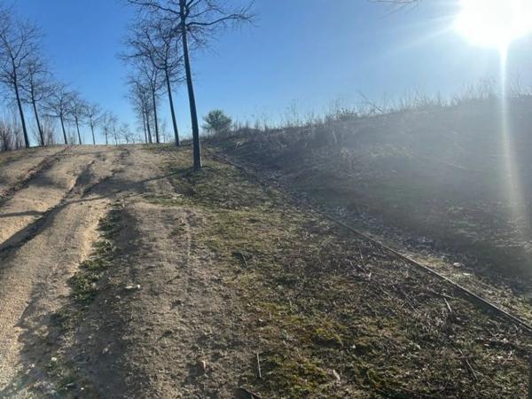Terreno en avenida de los Rosales