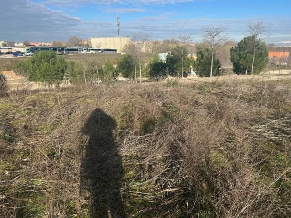 Terreno en avenida de los Rosales