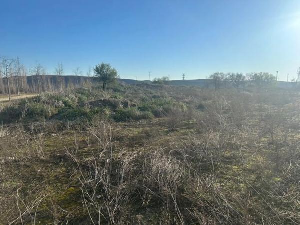 Terreno en avenida de los Rosales