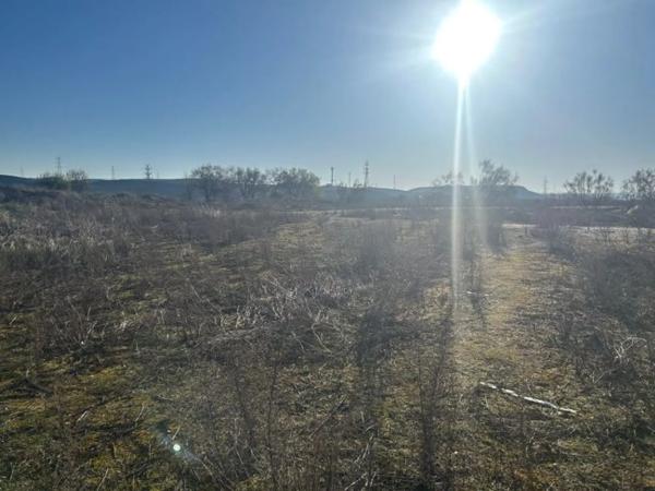Terreno en avenida de los Rosales