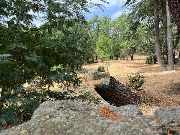 Terreno en calle del Prado del Arroyo, 3