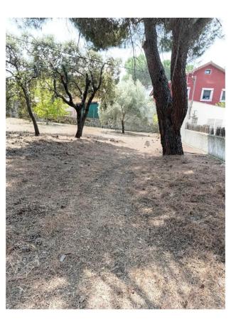 Terreno en calle San Jose, 17