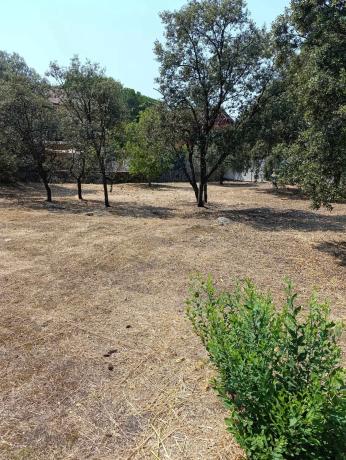 Terreno en calle San Jose, 17