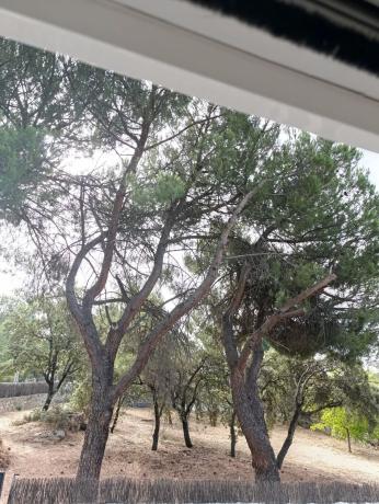 Terreno en calle San Jose, 17