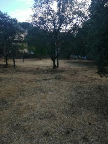 Terreno en calle San Jose, 17