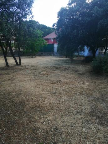 Terreno en calle San Jose, 17