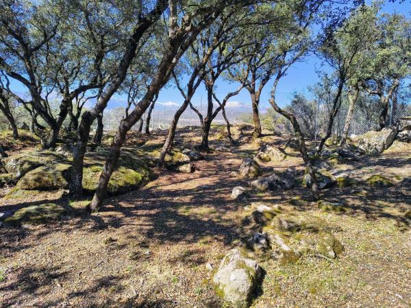 Terreno en Alpedrete