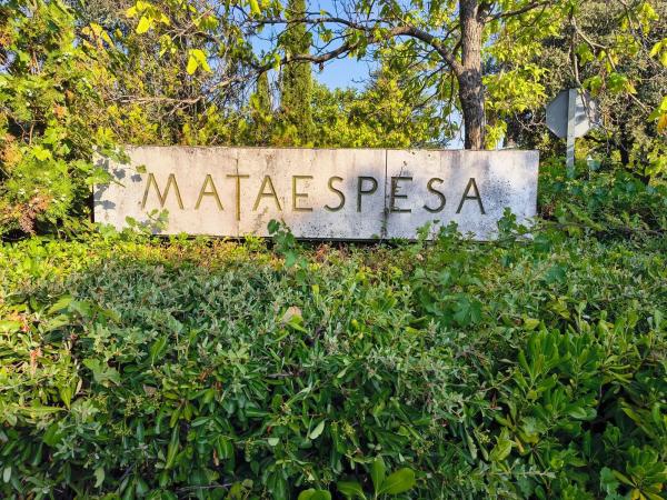 Terreno en Alpedrete