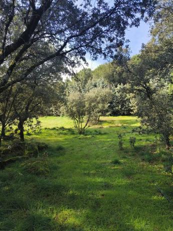 Terreno en calle de los Nogales