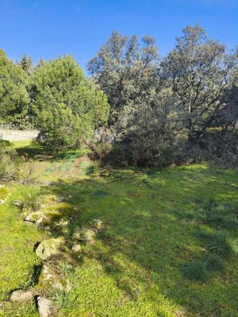 Terreno en calle de los Nogales