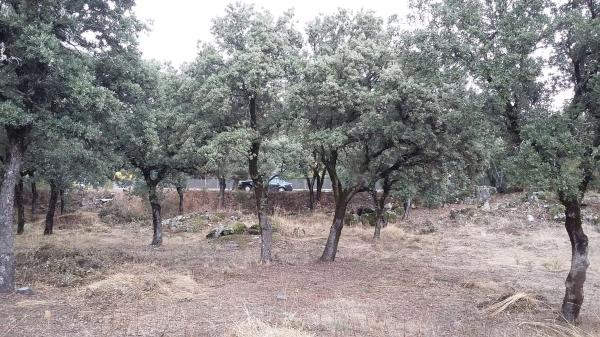 Terreno en avenida del Monte, 21