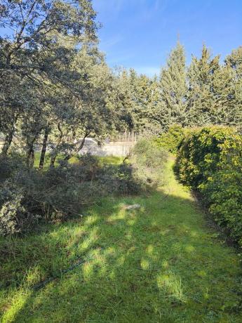 Terreno en calle de los Nogales
