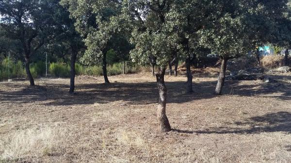 Terreno en avenida del Monte, 21