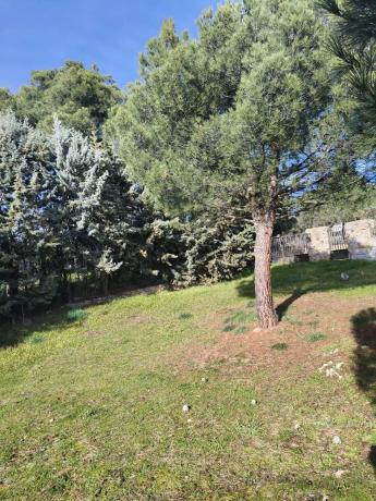 Terreno en calle de los Nogales