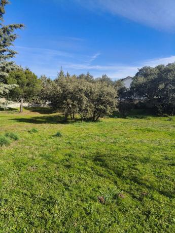 Terreno en calle de los Nogales