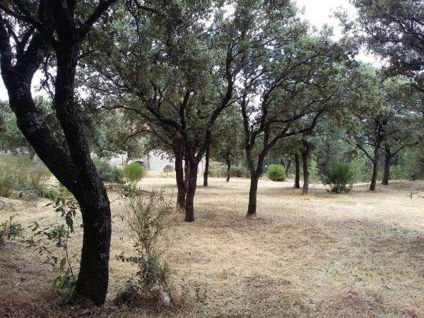 Terreno en avenida del Monte, 21