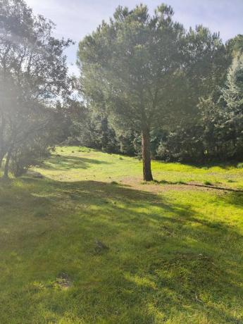 Terreno en calle de los Nogales