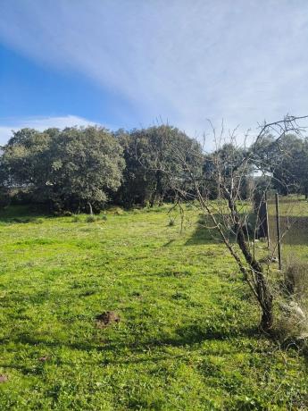 Terreno en calle de los Nogales